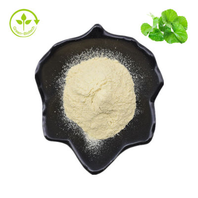 Hydrocotyle Asiatica / Centella Asiatica / Gotu Kola Extract 70% ผงเอเซียติโคไซด์