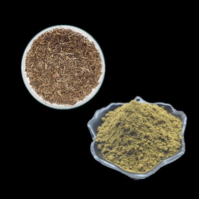 สารสกัดจากสมุนไพร Ajuga Turkestanica Extract Turkesterone Powder อาหารเสริม 2% 10% 20%