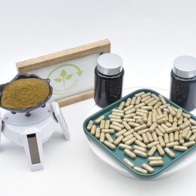 Ajuga Turkestanica Extract Turkesterone Capsules สำหรับการเพาะกาย