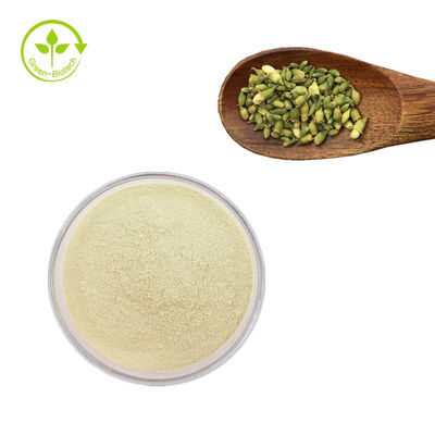 โรงงานซัพพลาย sophora japonica สกัด Rutin 95% Sophora Japonica Extract Rutin Powder