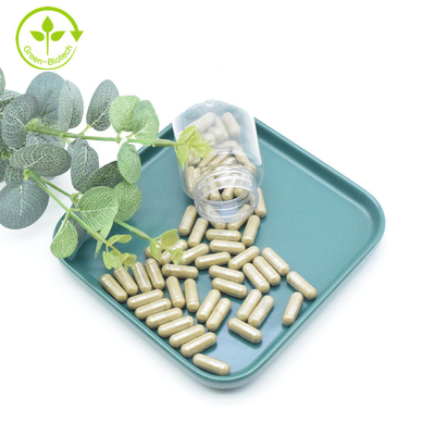สารสกัดจากพืช Ajuga Turkestanica Extract Powder 40% 500mg/60caps/ขวด Turkesterone Capsules