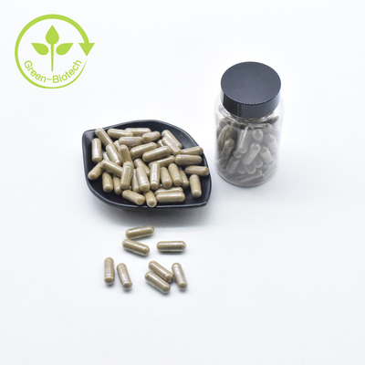 โรงงานขายส่ง Turkesterone บริสุทธิ์ 40% ผงฉลากส่วนตัว Ajuga Turkesterone Capsules 500 มก.