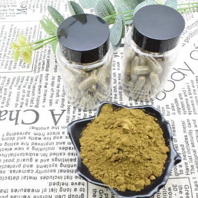 Ajuga Turkestanica Extract Powder 2% ซื้อ Turkesterone