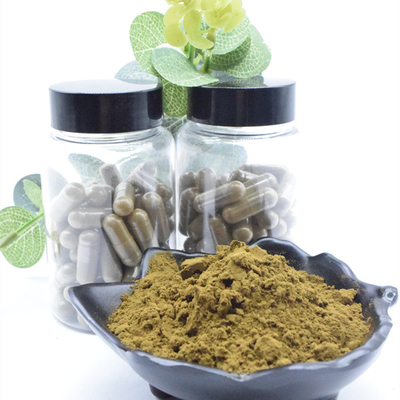ผง Turkesterone ธรรมชาติ 100% 2% 10% 40% สารสกัดจาก Ajuga Turkestanica