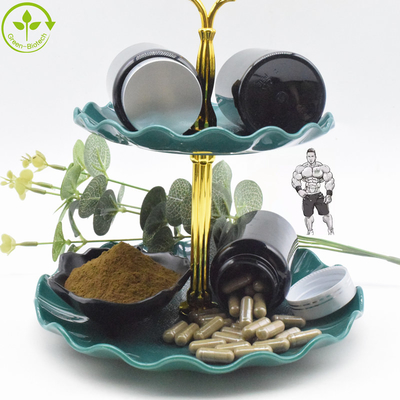 ผงสารสกัดจาก Ajuga Turkestanica อินทรีย์ธรรมชาติ 10% Turkesterone Capsules