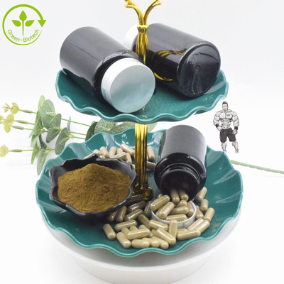 ผลิตภัณฑ์เสริมอาหาร Ajuga Turkestanica Extract 10% 20% Turkesterone Powder