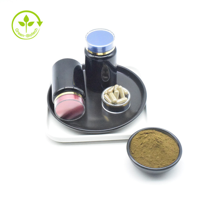 สารสกัดจาก Ajuga Turkestanica เกรด ISO ราคาผง Turkesterone 20%