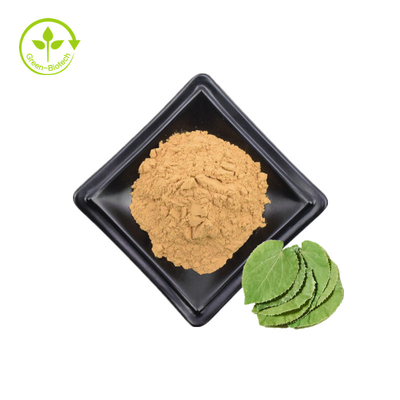 โรงงานนำเสนอสารสกัด Epimedium คุณภาพสูง Horny Goat Weed Extract Epimedium Extract ตัวอย่างฟรีในราคาที่ดีที่สุด