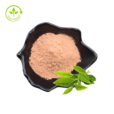 ชาโพลีฟีนอล, EGCG, ผงสารสกัดจากชาเขียว