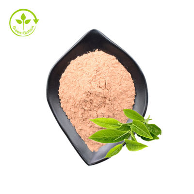 สารสกัดจากใบชาเขียวเกรดอาหารโพลีฟีนอล 98% Catechin 80% Egcg 60% Bulk Powder