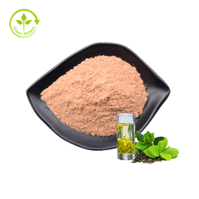 โรงงานซัพพลายสารสกัดจากชาเขียว 80% Catechin Green Tea Extract Powder สารสกัดจากชาเขียว