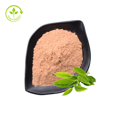 ชาโพลีฟีนอล, EGCG, ผงสารสกัดจากชาเขียว