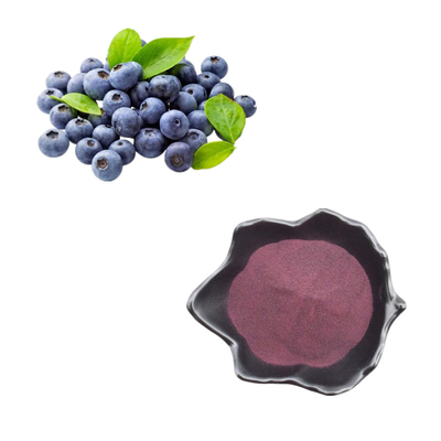 ผงผลไม้ธรรมชาติบริสุทธิ์สารสกัดจากผงบลูเบอร์รี่ Anthocyanin Bilberry Extract Powder