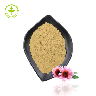 สารสกัด Echinacea คุณภาพสูง Purpurea Organic Echinacea Extract Powder