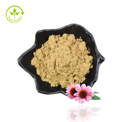 ผู้ผลิตดั้งเดิมจัดหาสารสกัดจากราก Echinacea Purpurea เกรดอาหารคุณภาพดี