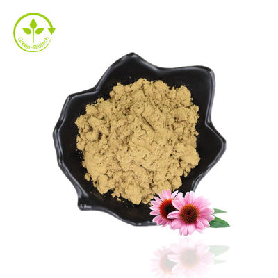 โพลีฟีนอล 4% Echinacea Purpurea Extract Powder Purple Coneflower Extract