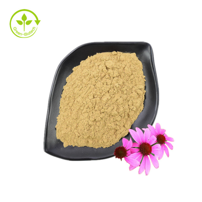 จัดหาสารสกัด Echinacea Purpurea เกรดดีอาหารเสริมเพื่อสุขภาพ Echinacea Purpurea Extract