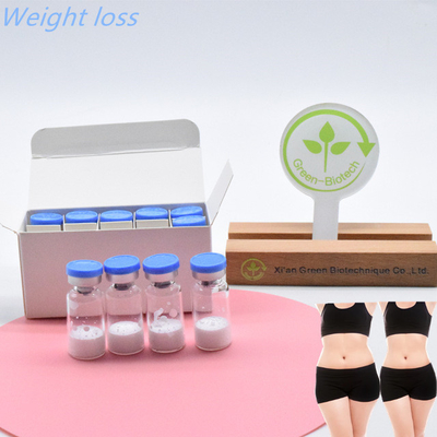 คุณภาพดีที่สุดสําหรับการฉีด  Semaglutide สําหรับการสร้างร่างกาย