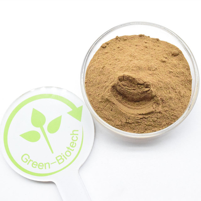สินค้าคุณภาพดี สินค้าฟรีตัวอย่าง Dendrobium Orchid Extract Dendrobium Nobile Extract Powder