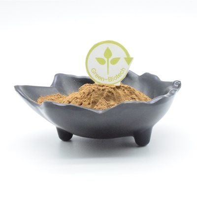 Body Building Ajuga Turkestanica Extract ผง สารสกัดจากพืช 500mg 750mg 1000mg