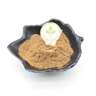 2% Ajuga Turkest สารสกัดจากเพาะกาย
