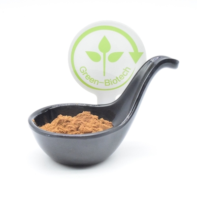 อาหารเสริมกีฬา Ajuga turkest extract เพาะกาย 2% 250 มก. 350 มก. 500 มก