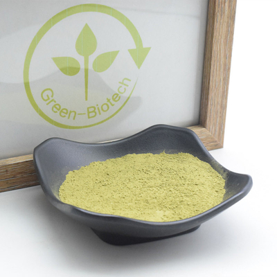 พิธีการ Matcha Natural Plant Extracts Anti Anaphylaxis Anti Inflammatory