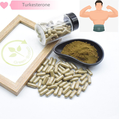 สารสกัดจากพืชธรรมชาติ Turkestanica 500 มก.