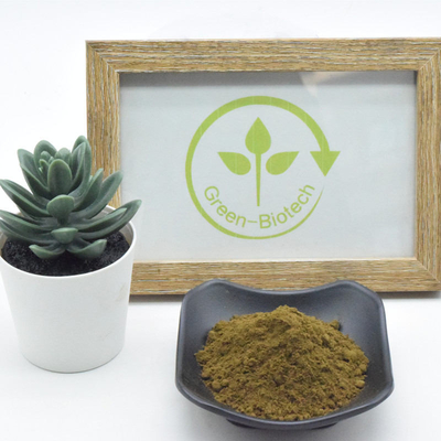 Ajuga Turkestanica Natural Plant Extracts 10% กระตุ้นความอยากอาหาร
