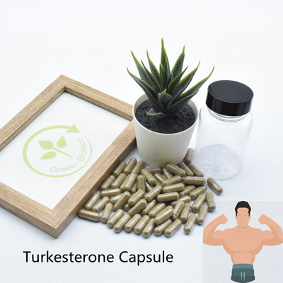 2% 10% Ajuga Turkestanica อาหารเสริมสารสกัดจากพืชธรรมชาติ Ecdysteroid