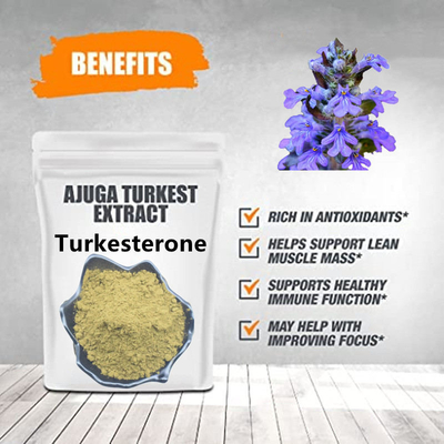 Ajuga Turkestanica Natural Plant Extracts 10% กระตุ้นความอยากอาหาร