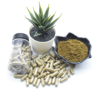 Ajuga Turkestanica Natural Plant Extracts 10% กระตุ้นความอยากอาหาร