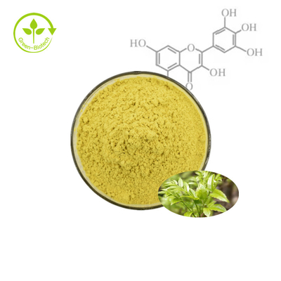ผงสารสกัดจากเปลือกผลไม้ Bayberry Myricetin 98%