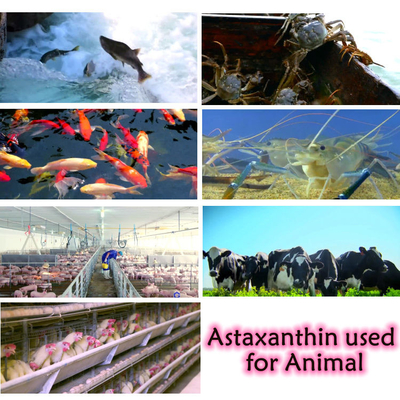 CAS 7542-45-2 1% - ผงแอสตาแซนธิน 10% สำหรับการดูแลสุขภาพ