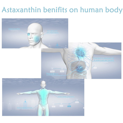 CAS 7542-45-2 1% - ผงแอสตาแซนธิน 10% สำหรับการดูแลสุขภาพ