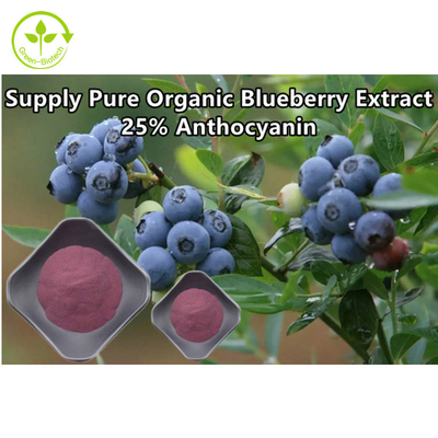 ผงสารสกัดบลูเบอร์รี่ออร์แกนิกบริสุทธิ์ Anthocyanin 25%