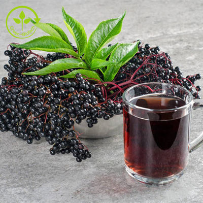 1% - 25% Elderberry Extract Composition Powder 25 กก./ถัง สำหรับผลิตภัณฑ์เพื่อสุขภาพ