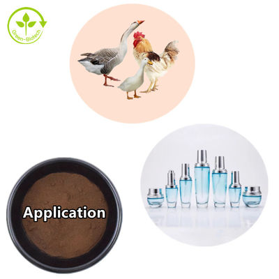 สารสกัด Hypericum Perforatum 0.3% Hypericin St Johns Wort Extract Powder