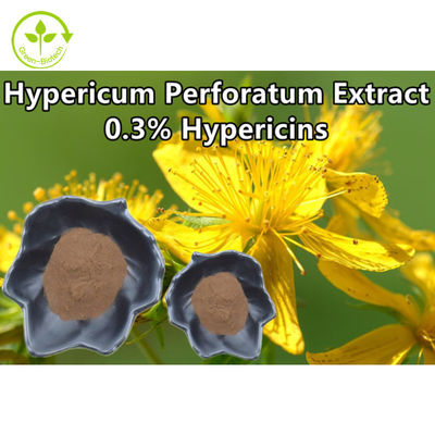 สารสกัด Hypericum Perforatum 0.3% Hypericin St Johns Wort Extract Powder