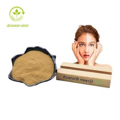 Mulberry Leaf Mulberry Leaf Plant Extract Powder 1% - 10% สำหรับการดูแลสุขภาพ