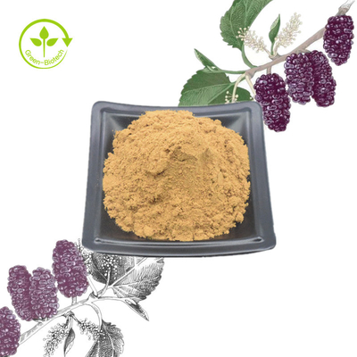 Mulberry Leaf Mulberry Leaf Plant Extract Powder 1% - 10% สำหรับการดูแลสุขภาพ