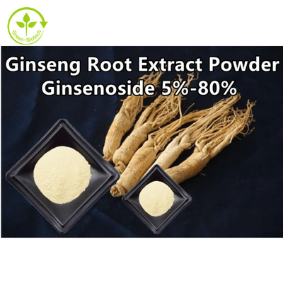 ผงสกัดจากรากโสมสมุนไพร Ginsenoside 5% - 80%