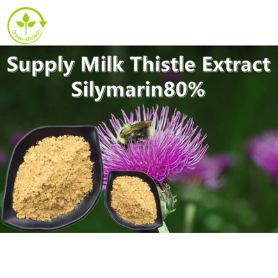 ผลิตภัณฑ์เสริมอาหารเพื่อสุขภาพราคาเป็นกลุ่ม Silymarin Powder Organic Silibin Silymarin Powder