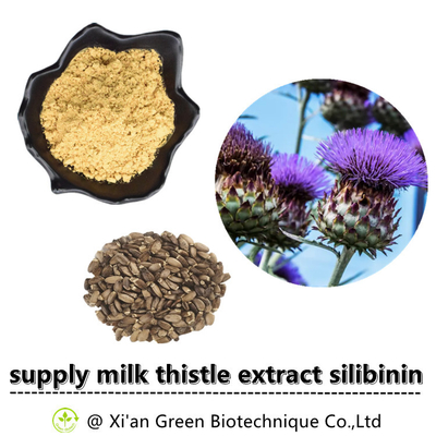 ผลิตภัณฑ์เสริมอาหารเพื่อสุขภาพราคาเป็นกลุ่ม Silymarin Powder Organic Silibin Silymarin Powder