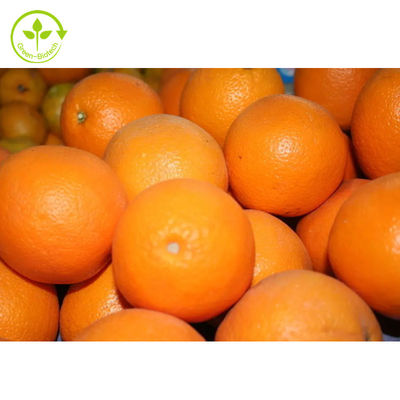 อาหารเกรด Citrus Aurantium Extract Diosmin 98% Hesperidin Powder
