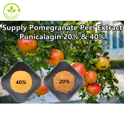 ผงสารสกัดจากทับทิมธรรมชาติบริสุทธิ์ Punicalagin CAS 65995-63-3