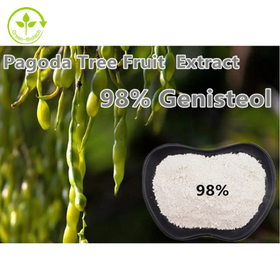 ผงสารสกัดจากพืช Genistein Fructus Sophorae 98% Nepeta Japonica Maxim