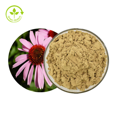 สารสกัดจากพืช Echinacea Purpurea 4% Polyphenols Powder ผลิตภัณฑ์เพื่อสุขภาพ
