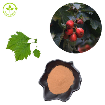 Hawthorn Berry Extract Flavones 80% Powder Crataegus Leaf Extract