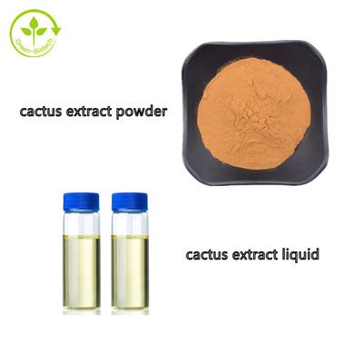 เครื่องสำอางเกรด Hoodia Cactus Fruit Extract Liquid In Bulks